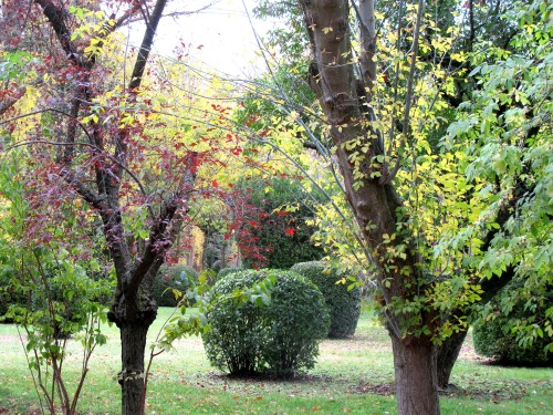 Esperanza de otoño en Aranjuez. Jardín del Príncipe (fotografía de CFB)