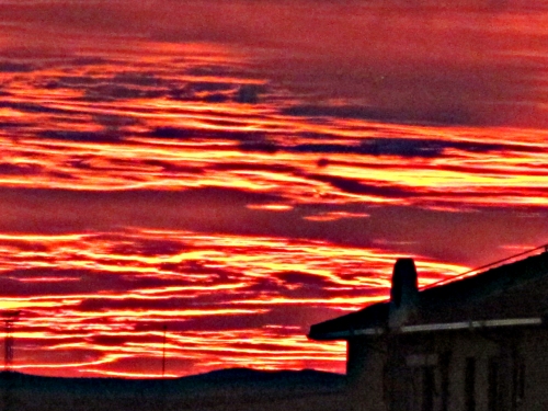 Desde mi ventana: "puesta de sol". Aranjuez, octubre 2016 (fotografía CFB)