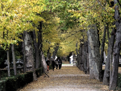 El otoño levanta su música. Jardín del Príncipe. Aranjuez (fotografía CFB)